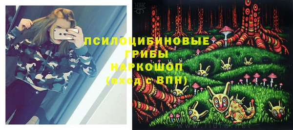 a pvp Михайловск