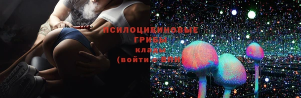 a pvp Михайловск