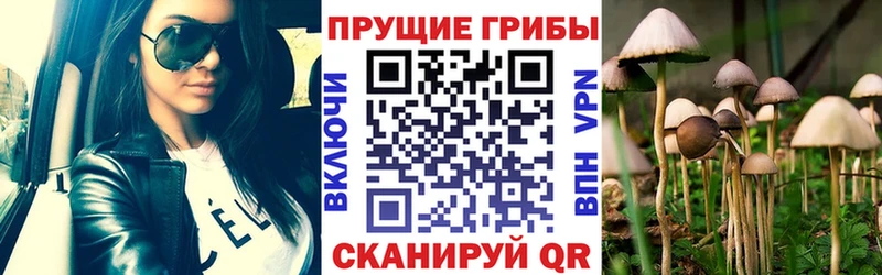 Купить закладки  Спасск-Рязанский  Псилоцибиновые грибы Magic Shrooms 